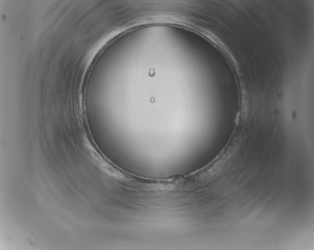 X0000051910996200507082025