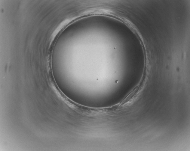 X0000051910997200507082025