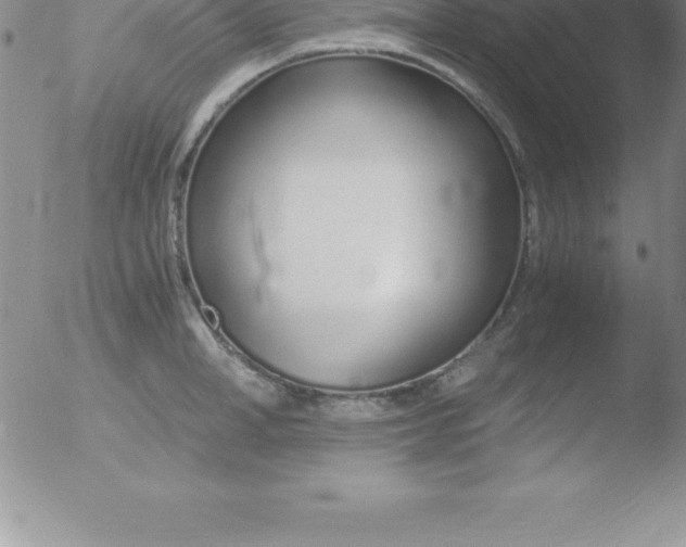 X0000051910998200507082025