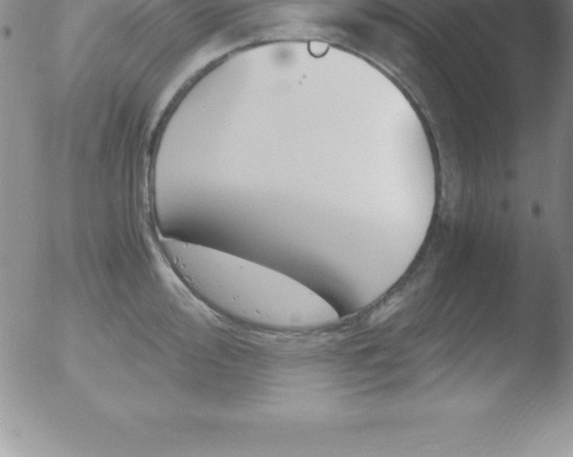 X0000051911000200507082025