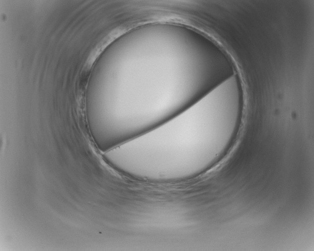 X0000051911001200507082025