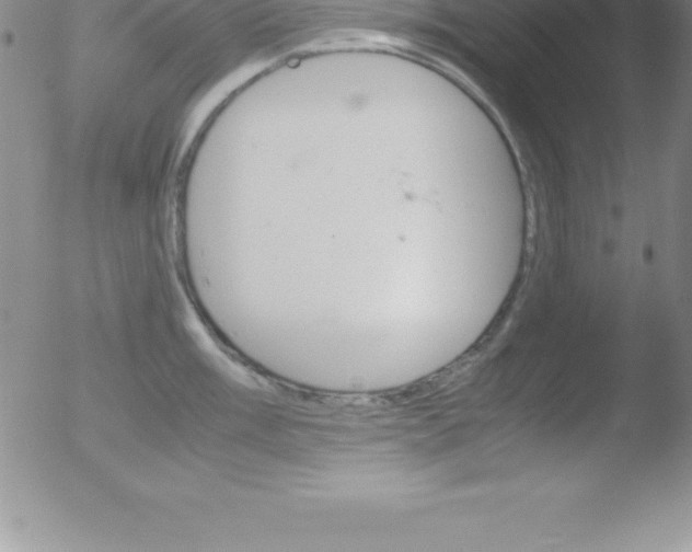 X0000051911003200507082025