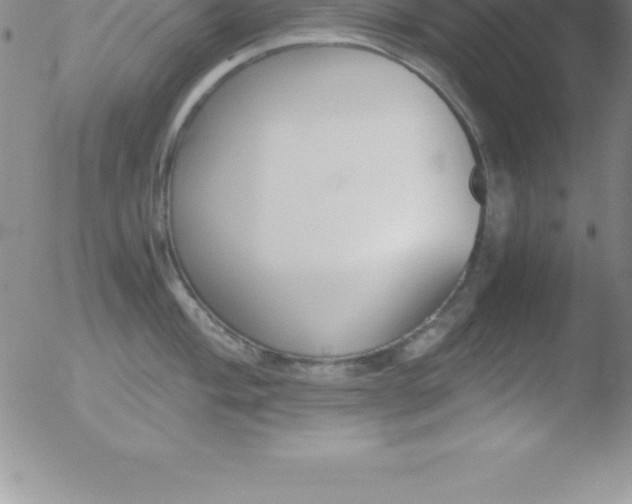 X0000051911004200507082025