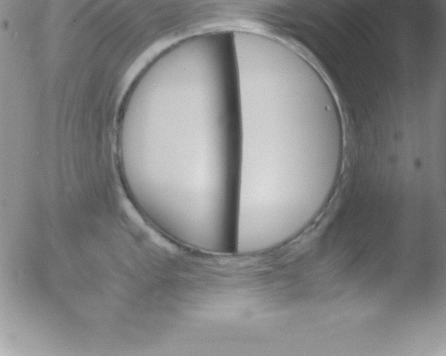 X0000051911005200507082025