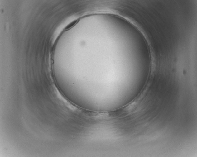 X0000051911006200507082025