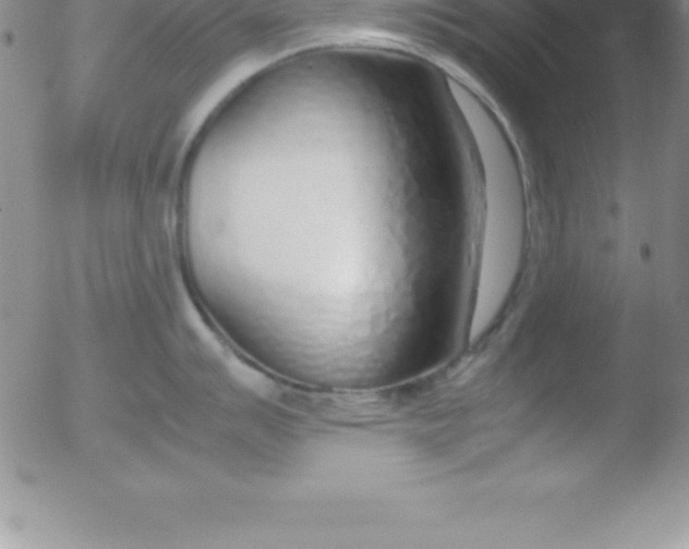 X0000051911007200507082025