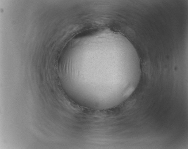 X0000051911009200507082024