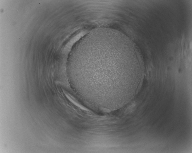 X0000051911010200507082024