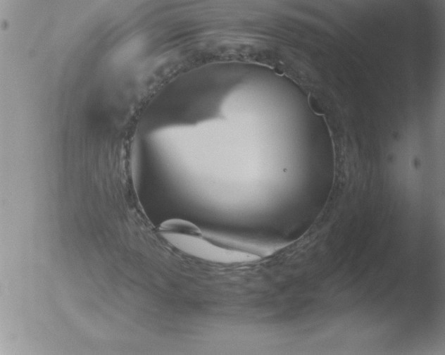 X0000051911013200507082024