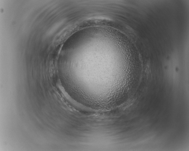 X0000051911014200507082024