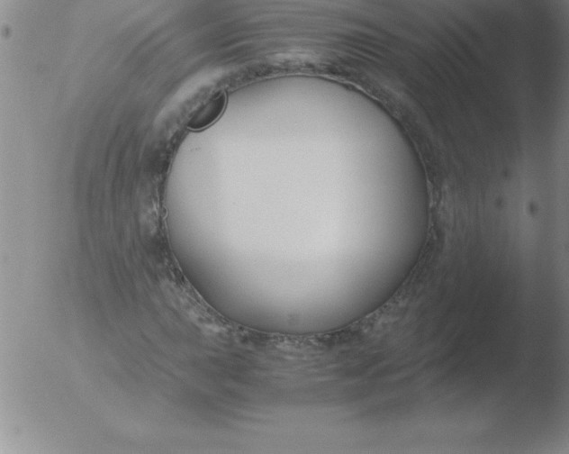 X0000051911015200507082024