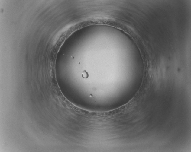 X0000051911016200507082024