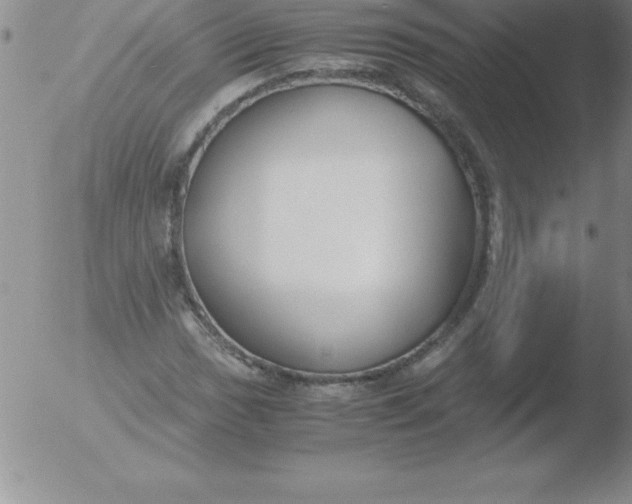 X0000051911017200507082024