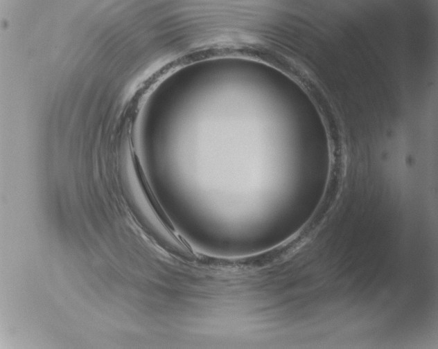 X0000051911018200507082024