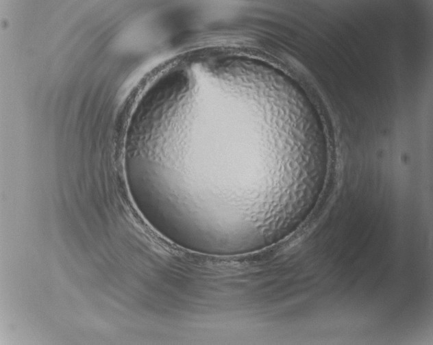 X0000051911019200507082024