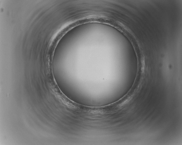 X0000051911021200507082024