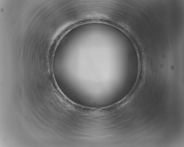 X0000051911022200507082024