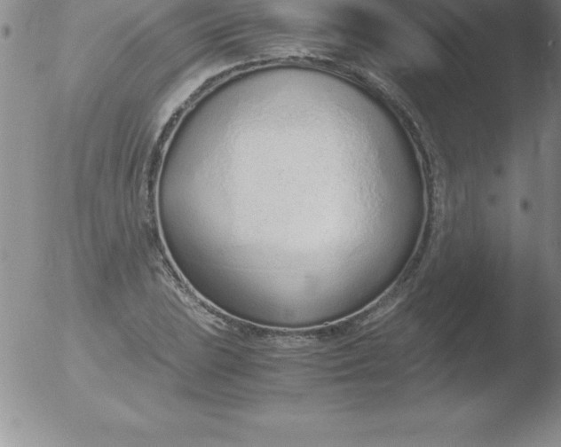 X0000051911023200507082024