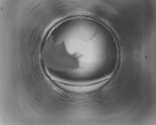 X0000051911024200507082024