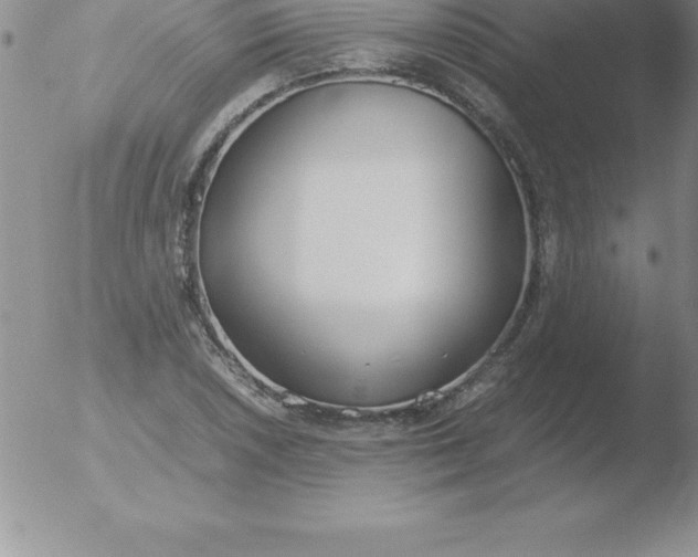 X0000051911026200507082024