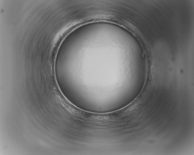 X0000051911027200507082024