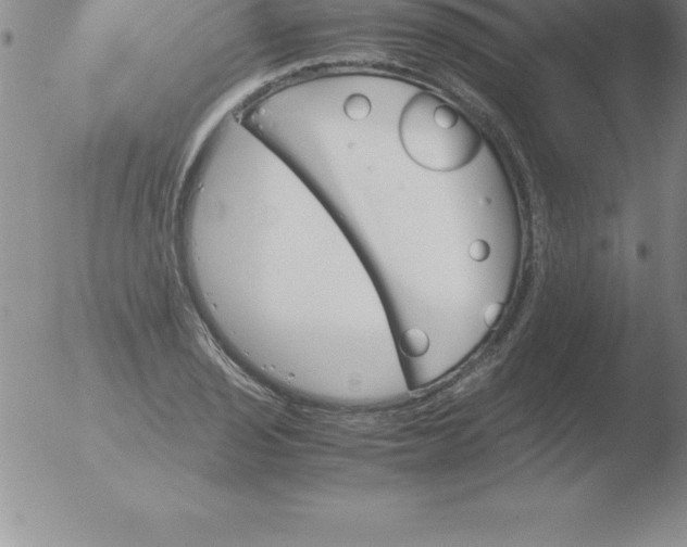 X0000051911029200507082024