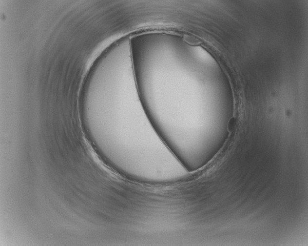 X0000051911030200507082024