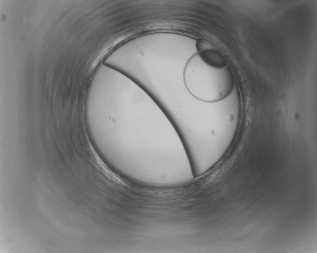 X0000051911033200507082024