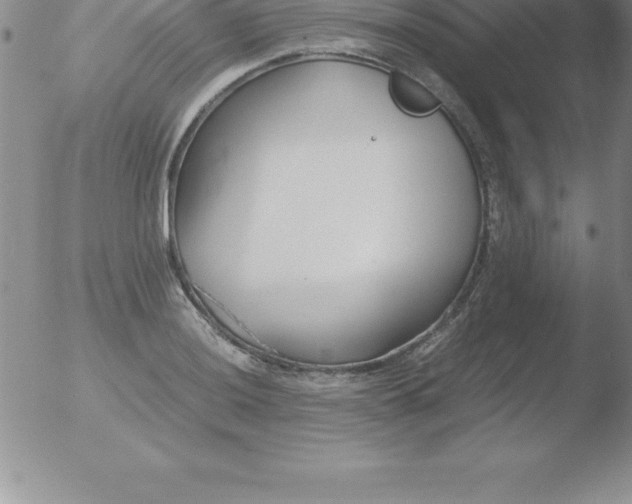 X0000051911036200507082024