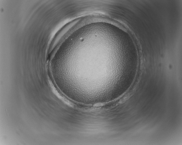 X0000051911038200507082024