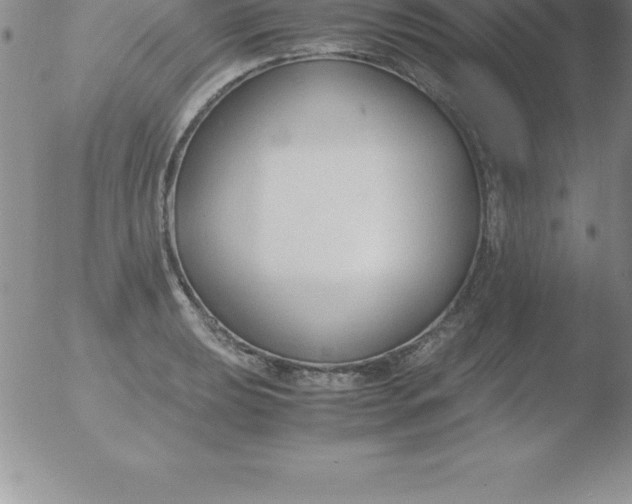 X0000051911039200507082024