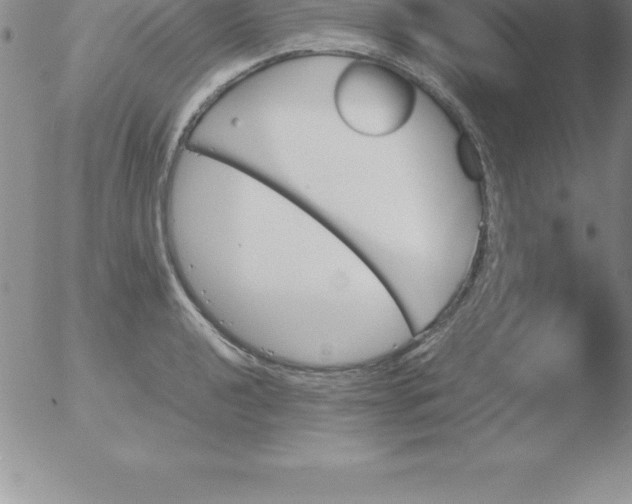 X0000051911040200507082024