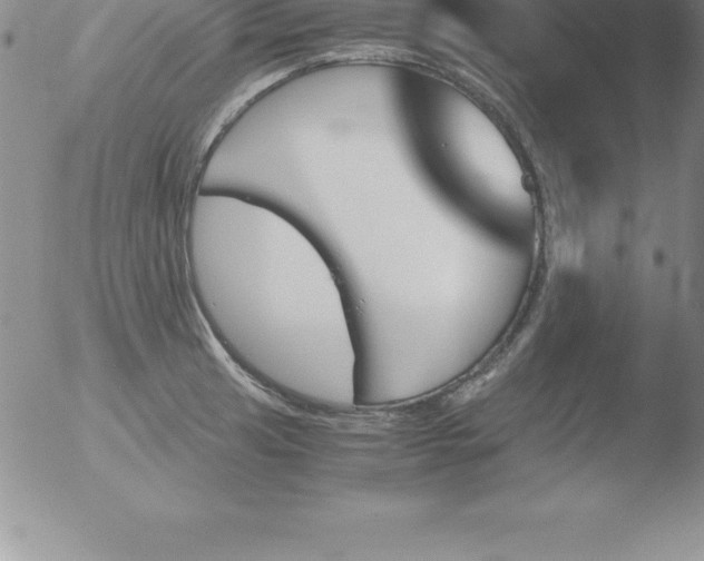 X0000051911041200507082024