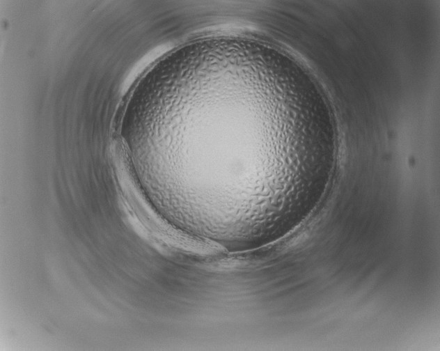 X0000051911042200507082024