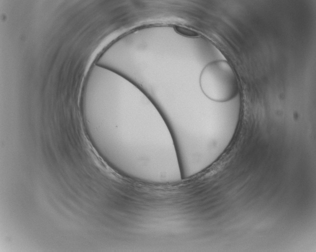 X0000051911044200507082024