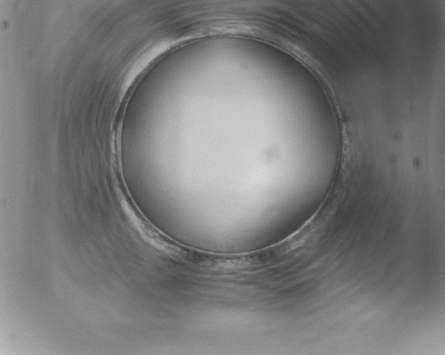 X0000051911047200507082024