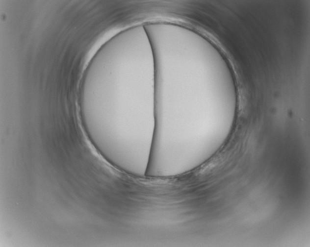 X0000051911048200507082024