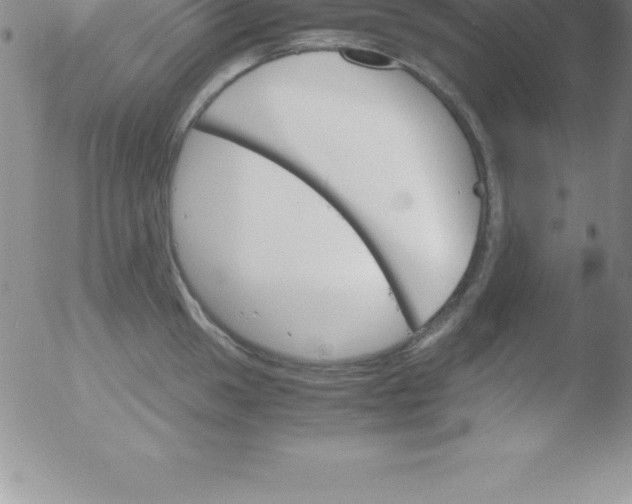 X0000051911049200507082024