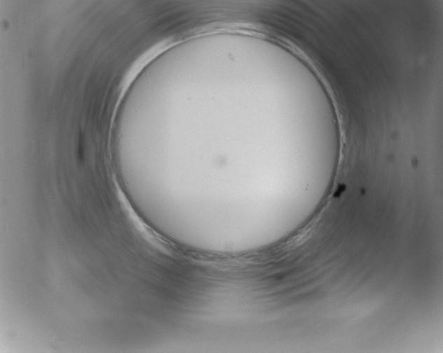 X0000051911050200507082024