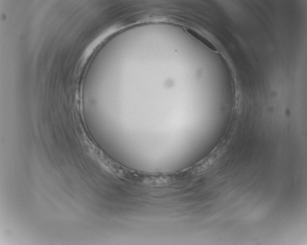 X0000051911051200507082024