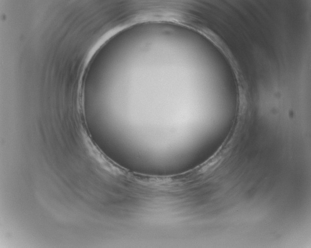 X0000051911052200507082024