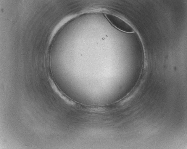 X0000051911053200507082024