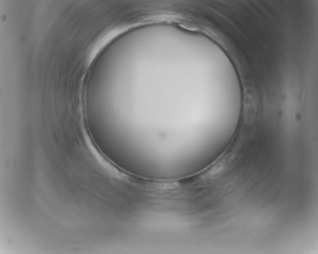 X0000051911055200507082025