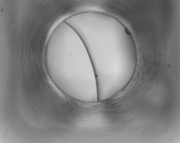 X0000051911056200507082025