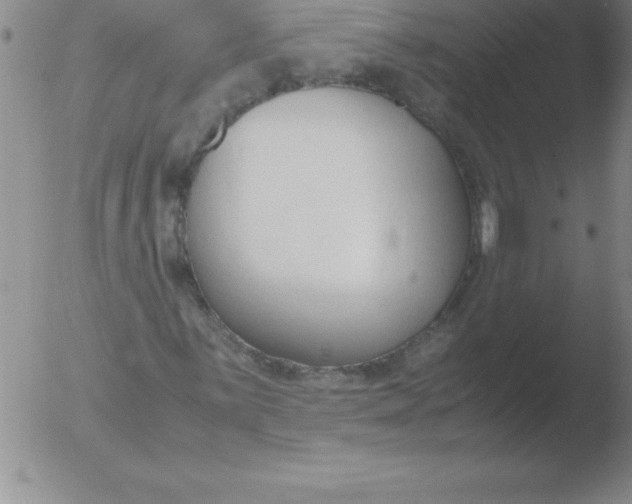 X0000051911059200507082024