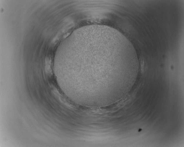 X0000051911060200507082024