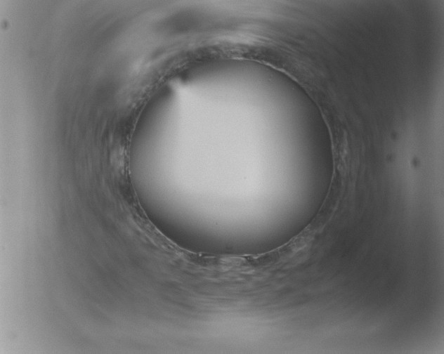 X0000051911061200507082024