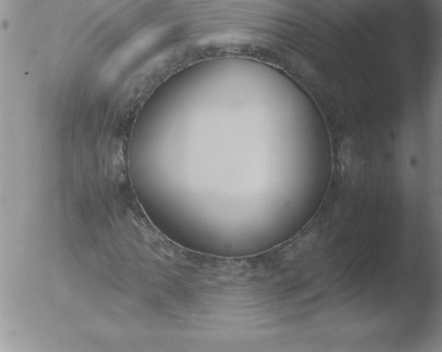 X0000051911062200507082024