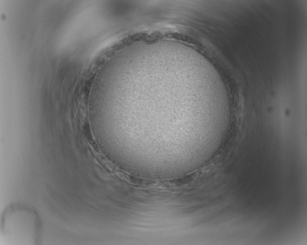 X0000051911063200507082024