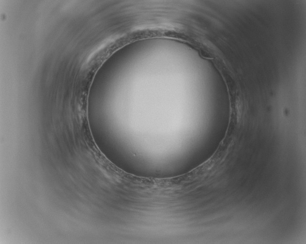 X0000051911064200507082024